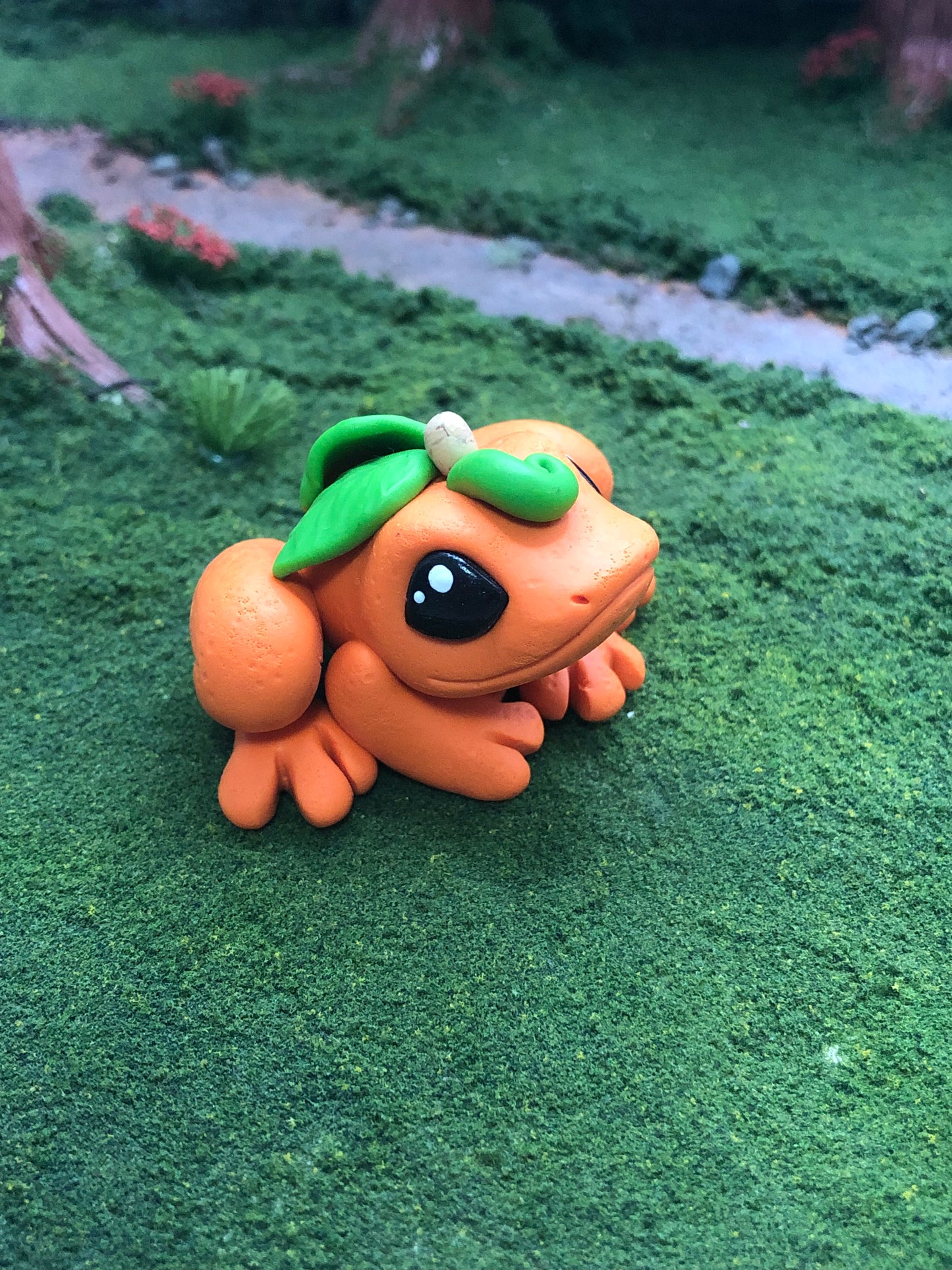 Tangerine frog