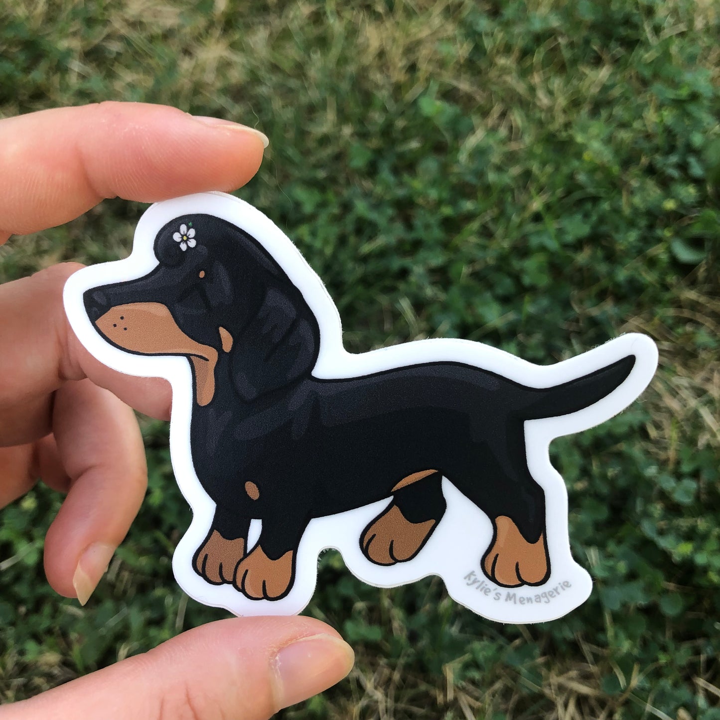 Daisy Dachshund Sticker