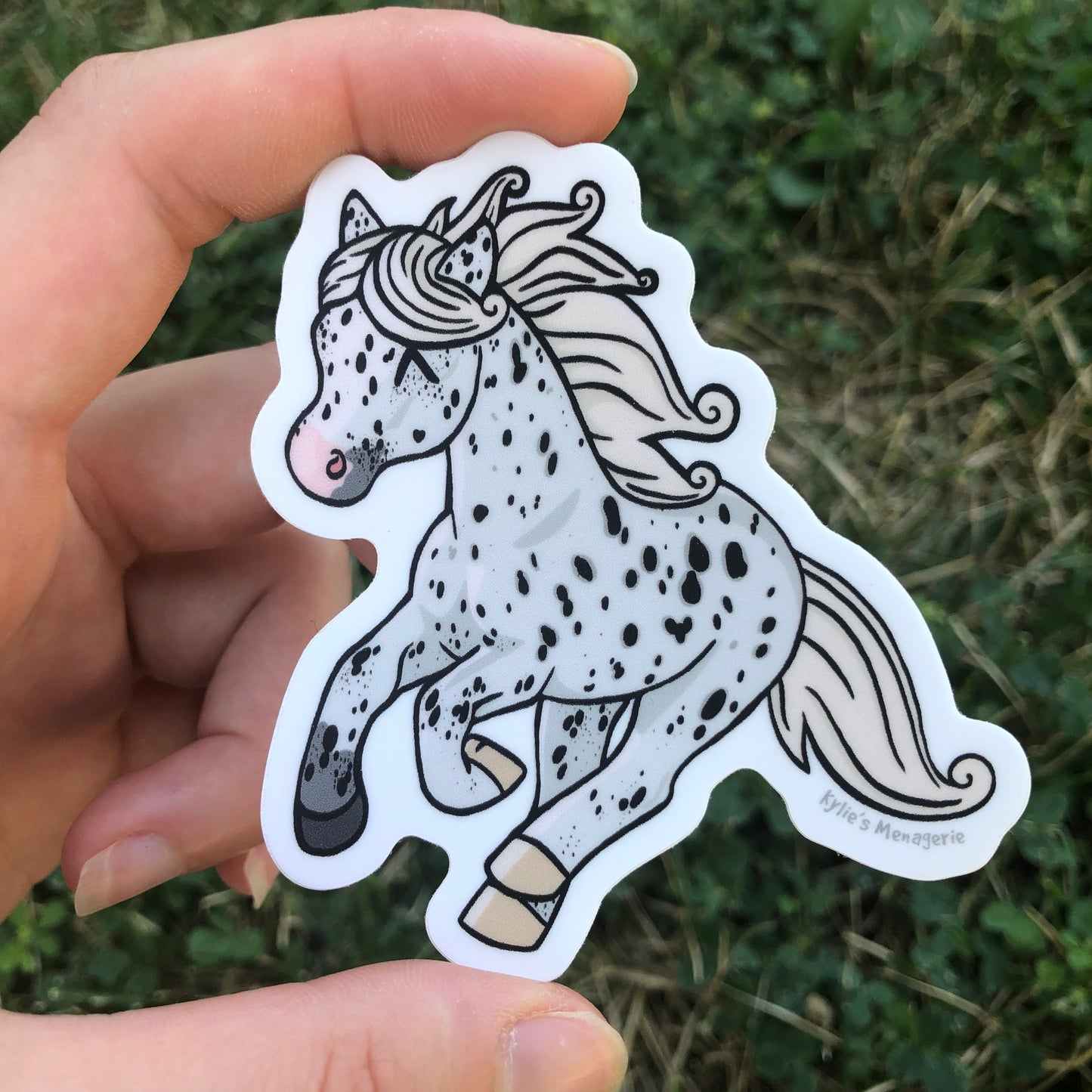 Leopard Appaloosa Sticker